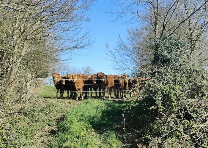 Coeur De Tranquillite - Casa De Pailhes *